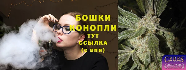 мет Касимов